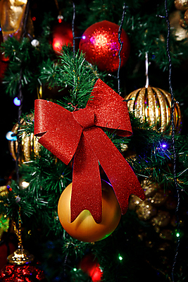 포토 JPG 해외이미지 행복 패턴 자연 탁자 전등 주택 선물 사람없음 야외 목재 장식 빛 상자 정원 방 나뭇가지 신선 소나무 황금 숲 묘사 질감 상록수 그런지 가문비나무 해외포토 나무 감정 가구 무늬 재료 조명 건물 생태계 파일형식 이미지허브