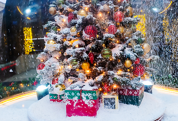 포토 JPG 해외이미지 나무 디자인 계절 별 선 백그라운드 크리스마스 겨울 일러스트 자연 하늘 휴가 전등 선물 사람없음 야외 장식 초록색 파란색 빛 상자 컬러풀 우주 얼음 축제 화환 추위 축하 소나무 눈송이 화려 황금 야간 숲 발자국 연도 장면 패키지 폭설 눈내림 해외포토 자연요소 식물 기념일 꽃 컬러 컨셉 자국 조명 눈_날씨 자연재해 생태계 파일형식 이미지허브