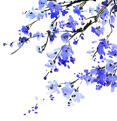 포토 JPG 해외이미지 나무 식물 전통 계절 꽃잎 꽃 줄기 꽃무늬 일러스트 자연 수채화 미술 동양인 사람없음 여름 파란색 뷰티 정원 일본 중국 벚꽃 나뭇가지 붓 그림 동쪽 고립 핸드메이드 해외일러스트 아시아 컬러 무늬 문화예술 인종 방향 생태계 파일형식 이미지허브