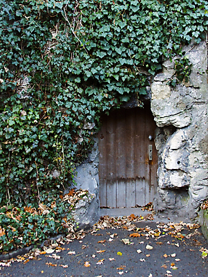 포토 JPG 해외이미지 외관 계절 벽 백그라운드 잎 건축양식 자연 주택 프레임 사람없음 야외 건물 목재 장식 초록색 문 수확 골동품 성장 나뭇가지 중세기사 닫기 덩굴 버리기 부식 폐허 질감 복고 포도나무 아이비 내추럴 그런지 썩음 옛날 해외포토 나무 식물 건축물 건축 컬러 농업 재료 모션 과일나무 생태계 파일형식 이미지허브