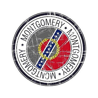 EPS 해외이미지 디자인 백그라운드 컨셉 일러스트 휴가 잉크 그래픽 장식 도장 꼬리표 라벨 미국 수확 깃발 도시 원형 인쇄 물개 심볼 사인 배지 스크래치 고무 우표 휘장 고립 그런지 각인 해외일러스트 도형 북아메리카 농업 포유류 프레임 바다동물 파일형식 벡터 이미지허브