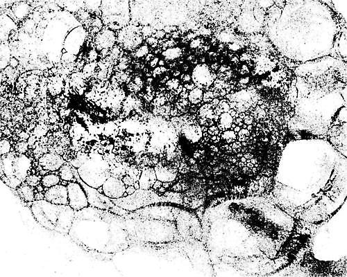 EPS 해외이미지 모양 템플릿 디자인 백그라운드 일러스트 벽지 추상 미술 그래픽 검은색 어둠 손상 고통 수확 점 얼룩 균열 떨어짐 낟알 스케치 묘사 고민 부식 질감 복고 무거움 고무 시들음 고립 구김 그런지 썩음 옛날 타격 디테일 효과 해외일러스트 감정 컬러 컨셉 무늬 농업 모션 문화예술 무게 파일형식 벡터 이미지허브