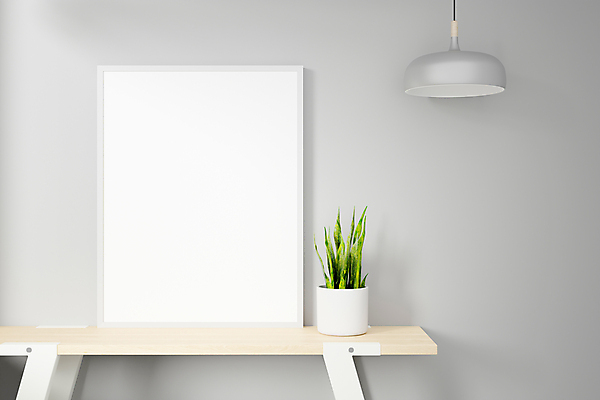 포토 JPG 해외이미지 식물 화분 종이 조명 프레임 사람없음 3D 흰배경 목업 해외포토 백그라운드 흰색 디지털합성 파일형식 이미지허브