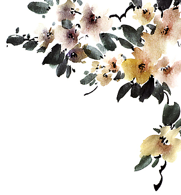 포토 JPG 해외이미지 꽃잎 꽃 줄기 잎 일러스트 캘리그라피 붓터치 수채화 수묵화 미술 사람없음 갈색 동양화 번짐 해외일러스트 식물 컬러 문화예술 파일형식 효과 이미지허브