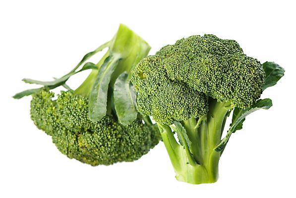 포토 JPG 해외이미지 채소 사람없음 초록색 브로콜리 해외포토 컬러 파일형식 이미지허브