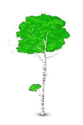 EPS 해외이미지 나무 식물 디자인 계절 실루엣 줄기 백그라운드 잎 일러스트 자연 목재 그래픽 장식 초록색 여름 갈색 환경 정원 침묵 봄 활발 성장 흰색 나뭇가지 시골 은색 숲 큼 심볼 싱글 심플 자작나무 내추럴 고립 삼림지대 엘리먼트 해외일러스트 컬러 컨셉 재료 촬영기법 소리 크기 생태계 파일형식 벡터 이미지허브