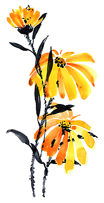 포토 JPG 해외이미지 식물 전통 계절 꽃 꽃다발 백그라운드 잎 꽃무늬 오렌지 일러스트 자연 수채화 미술 사람없음 장식 여름 세트 뷰티 노란색 정원 나뭇가지 붓 신용카드 개화 그림 유기농 금잔화 고립 핸드메이드 해외일러스트 나무 웰빙 컬러 무늬 과일 문화예술 금융 생태계 파일형식 이미지허브