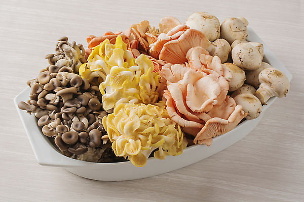 포토 JPG 해외이미지 접시 음식 분홍색 패턴 다이어트 오렌지 재료 자연 건강 요리 사람없음 노란색 식사 저녁식사 버섯 회색 흰색 신선 질감 날것 라임 연어 성분 내추럴 점심식사 곰팡이 단백질 채식주의자 파리(프랑스) 비건 해외포토 식기 컬러 무늬 과일 어류 생태계 채식 영양소 파일형식 이미지허브