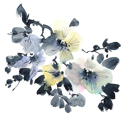 포토 JPG 해외이미지 꽃잎 꽃 줄기 일러스트 캘리그라피 붓터치 수묵화 미술 사람없음 동양화 번짐 해외일러스트 식물 문화예술 파일형식 효과 이미지허브