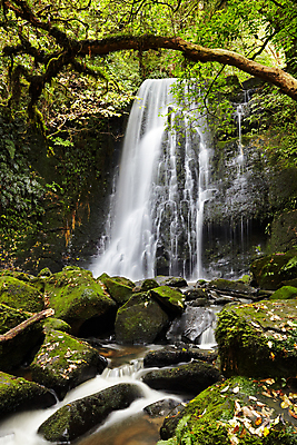 포토 JPG 해외이미지 나무 호수 자연 새로움 이끼 풍경 사람없음 초록색 물 강 환경 폭포 바위 개울 숲 신비 열대우림 뉴질랜드 블러 해외포토 자연요소 식물 컬러 컨셉 돌_바위 오세아니아 생태계 파일형식 이미지허브
