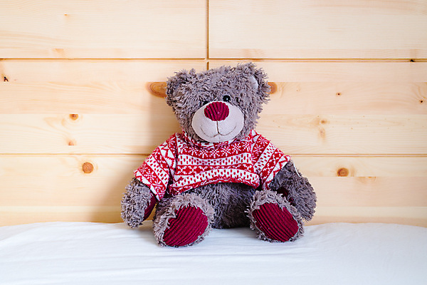 포토 JPG 해외이미지 행복 어린이 백그라운드 컨셉 겨울 가족 베개 침구 호텔 휴식 따뜻함 건강 사람없음 내부 장식 장난감 곰인형 꿈 방 침대 신생아 잠 엽서 부드러움 솜털 취침시간 혼자 안락 해외포토 계절 감정 인형 가구 관계 숙소 사람 아기 감각 편지 파일형식 이미지허브