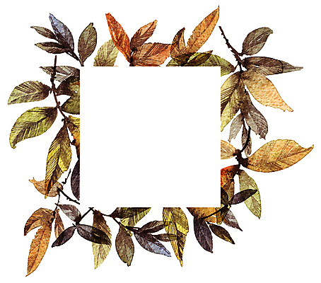 포토 JPG 해외이미지 나무 식물 전통 디자인 계절 줄기 백그라운드 잎 일러스트 자연 프레임 미술 동양인 사람없음 뷰티 정원 일본 중국 덮개 나뭇가지 인사 붓 신용카드 그림 초대 동쪽 핸드메이드 해외일러스트 아시아 문화예술 인종 금융 뚜껑 예절 방향 생태계 파일형식 이미지허브