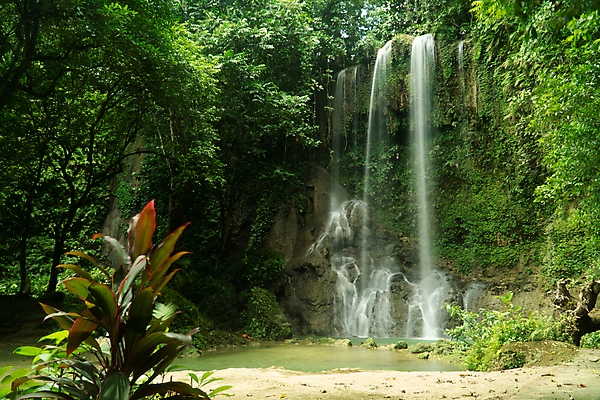 포토 JPG 해외이미지 나무 식물 여행 잎 자연 산 사람없음 야외 목재 초록색 물 강 환경 골짜기 봄 폭포 흐름 신선 개울 숲 열대우림 내추럴 해외포토 자연요소 계절 컬러 컨셉 재료 생태계 파일형식 이미지허브