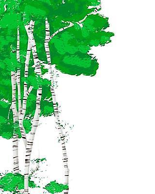 EPS 해외이미지 나무 식물 템플릿 디자인 계절 백그라운드 잎 꽃무늬 패턴 일러스트 자연 벽지 하늘 추상 미술 풍경 목재 그래픽 장식 초록색 봄 나뭇가지 신용카드 은색 숲 인쇄 질감 공상 자작나무 구성 해외일러스트 꽃 컬러 무늬 재료 문화예술 금융 생태계 파일형식 벡터 이미지허브