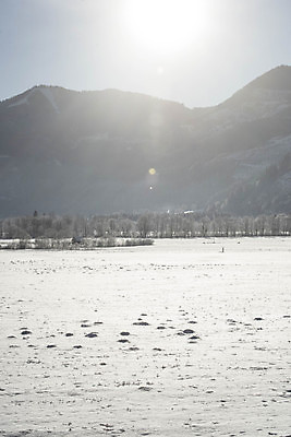 포토 JPG 해외이미지 계절 겨울 날씨 사람없음 추위 흰색 매끈함 서리 눈내림 겨울풍경 해외포토 컬러 눈_날씨 풍경 감각 파일형식 이미지허브