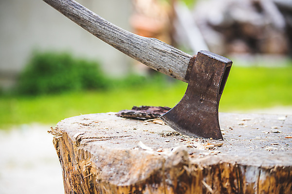 포토 JPG 해외이미지 모양 나무 패턴 자연 사람없음 목재 금속 힘 공구 시골 업무 역사 숲 위험 오두막 자르기 철 오브젝트 날카로움 과거 도끼 나무껍질 벌목 수목 옛날 해외포토 식물 컨셉 무늬 재료 모션 재질 껍질 도구 작업 생태계 파일형식 이미지허브