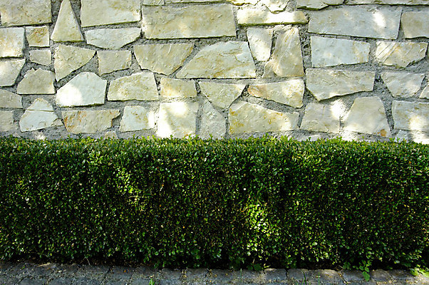 포토 JPG 해외이미지 건축물 선 백그라운드 패턴 표면 설계 사람없음 바위 계획 배열 심볼 질감 암초 시스템 질서 순위 구성 지질학 해외포토 교육 건축 컨셉 무늬 돌_바위 예절 파일형식 이미지허브