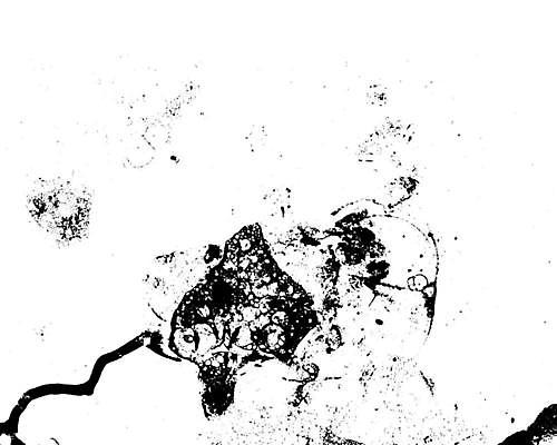 EPS 해외이미지 모양 템플릿 디자인 백그라운드 일러스트 벽지 추상 미술 그래픽 검은색 어둠 손상 고통 수확 점 얼룩 균열 떨어짐 낟알 스케치 묘사 고민 부식 질감 복고 무거움 고무 시들음 고립 구김 그런지 썩음 옛날 타격 디테일 효과 해외일러스트 감정 컬러 컨셉 무늬 농업 모션 문화예술 무게 파일형식 벡터 이미지허브