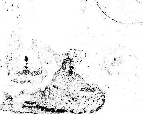 EPS 해외이미지 모양 템플릿 디자인 백그라운드 일러스트 벽지 추상 미술 그래픽 검은색 어둠 손상 고통 수확 점 얼룩 균열 떨어짐 낟알 스케치 묘사 고민 부식 질감 복고 무거움 고무 시들음 고립 구김 그런지 썩음 옛날 타격 디테일 효과 해외일러스트 감정 컬러 컨셉 무늬 농업 모션 문화예술 무게 파일형식 벡터 이미지허브