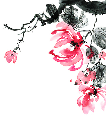 포토 JPG 해외이미지 꽃잎 꽃 줄기 분홍색 잎 일러스트 캘리그라피 붓터치 수채화 수묵화 미술 사람없음 나뭇가지 동양화 번짐 해외일러스트 나무 식물 컬러 문화예술 파일형식 효과 이미지허브