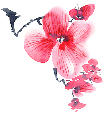 포토 JPG 해외이미지 꽃잎 꽃 줄기 일러스트 캘리그라피 붓터치 수묵화 미술 사람없음 동양화 번짐 해외일러스트 식물 문화예술 파일형식 효과 이미지허브