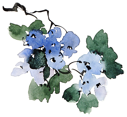 포토 JPG 해외이미지 꽃잎 꽃 일러스트 캘리그라피 붓터치 수묵화 미술 사람없음 파란색 나뭇가지 동양화 번짐 해외일러스트 나무 식물 컬러 문화예술 파일형식 효과 이미지허브