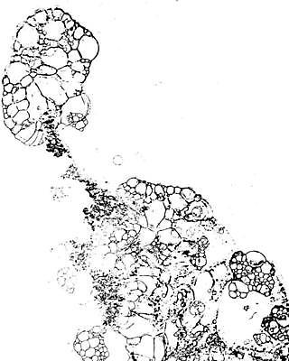 EPS 해외이미지 모양 템플릿 디자인 백그라운드 일러스트 벽지 추상 미술 그래픽 검은색 어둠 손상 고통 수확 점 얼룩 균열 떨어짐 낟알 스케치 묘사 고민 부식 질감 복고 무거움 고무 시들음 고립 구김 그런지 썩음 옛날 타격 디테일 효과 해외일러스트 감정 컬러 컨셉 무늬 농업 모션 문화예술 무게 파일형식 벡터 이미지허브