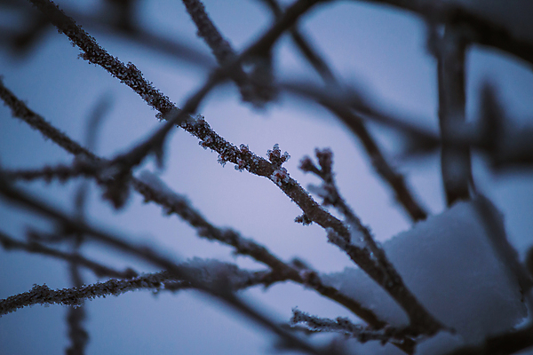 포토 JPG 해외이미지 나무 식물 겨울 자연 하늘 추상 이벤트 사람없음 야외 물 냉동 얼음 새벽 추위 물방울 나뭇가지 풍력에너지 떨어짐 이슬 서리 빙산 고드름 대야 엔진 해외포토 자연요소 계절 컨셉 무늬 그린에너지 생태계 파일형식 이미지허브