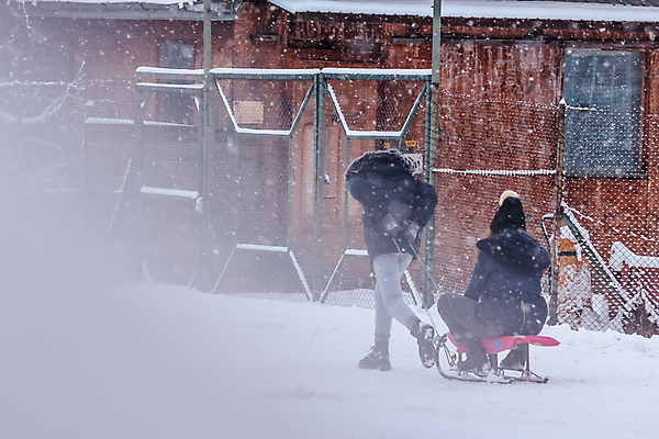 포토 JPG 해외이미지 나무 척추동물 겨울 벤치 창문 자연 날씨 거리 사람 경사 사람없음 야외 건물 걷기 얼음 추위 바퀴 보행자 개 서리 타이어 폭풍 눈보라 해외포토 자연요소 식물 동물 건축물 계절 의자 포유류 모션 눈_날씨 생태계 파일형식 이미지허브