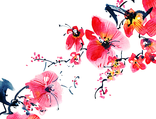 포토 JPG 해외이미지 꽃잎 꽃 줄기 분홍색 일러스트 캘리그라피 붓터치 수채화 수묵화 미술 사람없음 나뭇가지 동양화 번짐 해외일러스트 나무 식물 컬러 문화예술 파일형식 효과 이미지허브