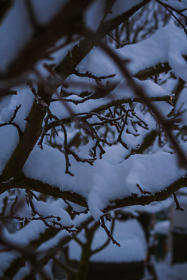 포토 JPG 해외이미지 나무 식물 겨울 자연 하늘 추상 이벤트 사람없음 야외 물 냉동 얼음 새벽 추위 물방울 나뭇가지 풍력에너지 떨어짐 이슬 서리 빙산 고드름 대야 엔진 해외포토 자연요소 계절 컨셉 무늬 그린에너지 생태계 파일형식 이미지허브