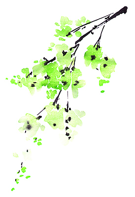 포토 JPG 해외이미지 나무 식물 전통 계절 줄기 잎 일러스트 자연 수채화 미술 동양인 사람없음 초록색 여름 뷰티 정원 일본 중국 나뭇가지 붓 그림 동쪽 고립 핸드메이드 해외일러스트 아시아 컬러 문화예술 인종 방향 생태계 파일형식 이미지허브