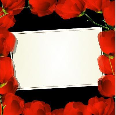 EPS 해외이미지 식물 디자인 계절 꽃잎 꽃 꽃다발 백그라운드 꽃무늬 밭 일러스트 자연 프레임 장식 빨간색 초록색 여름 머리 정원 봄 활발 들꽃 성장 벚꽃 시골 신용카드 개화 그룹 5월 정사각형 양귀비 내추럴 줄서기 해외일러스트 도형 컬러 컨셉 무늬 농업 모션 신체부위 금융 날짜 생태계 파일형식 벡터 이미지허브