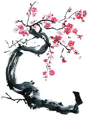 포토 JPG 해외이미지 나무 식물 전통 계절 꽃잎 꽃 줄기 꽃무늬 일러스트 자연 미술 동양인 사람없음 뷰티 정원 일본 중국 벚꽃 나뭇가지 붓 체리 그림 동쪽 자두 고립 핸드메이드 해외일러스트 아시아 무늬 과일 문화예술 인종 방향 생태계 파일형식 이미지허브