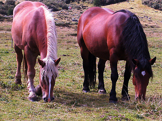 포토 JPG 해외이미지 농업 생물 산 사람없음 경제 농장 승차 심볼 기르기 밭일 자금 해외포토 산업 돈 모션 금융 돌봄 파일형식 이미지허브