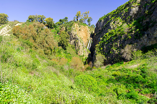 포토 JPG 해외이미지 공원 꽃 여행 겨울 중동 자국 자연 산 국립공원 풍경 사람없음 야외 초록색 물 강 뷰티 골짜기 봄 폭포 들꽃 흐름 가을 개울 지중해 내추럴 루트 보호구역 이스라엘 전국 해외포토 자연요소 식물 계절 공공시설 나라 바다 컬러 컨셉 생태계 서아시아 구역 파일형식 이미지허브
