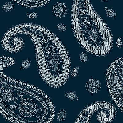 EPS 해외이미지 전통 디자인 꽃 백그라운드 잎 꽃무늬 패턴 일러스트 벽지 미술 동양인 여러명 그래픽 장식 파란색 유행 수확 흰색 직물 화려 우아함 인쇄 인도인 타일 질감 복고 공상 자수 페이즐리 스타일 튀르키예 해외일러스트 외국인 식물 아시아 컬러 다수 컨셉 무늬 농업 문화예술 사람 인종 파일형식 벡터 이미지허브