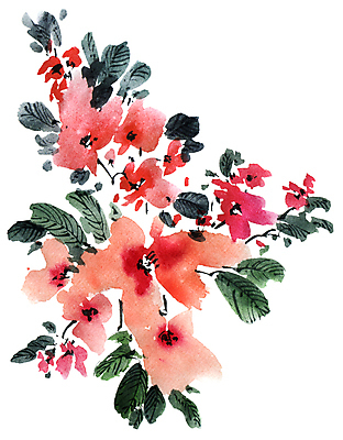 포토 JPG 해외이미지 꽃잎 꽃 줄기 분홍색 잎 일러스트 캘리그라피 붓터치 수묵화 미술 사람없음 동양화 번짐 해외일러스트 식물 컬러 문화예술 파일형식 효과 이미지허브