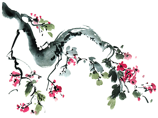 포토 JPG 해외이미지 나무 식물 전통 계절 꽃잎 꽃 줄기 꽃무늬 일러스트 자연 미술 동양인 사람없음 뷰티 정원 일본 중국 벚꽃 나뭇가지 붓 체리 그림 동쪽 자두 고립 핸드메이드 해외일러스트 아시아 무늬 과일 문화예술 인종 방향 생태계 파일형식 이미지허브