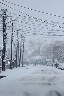 포토 JPG 해외이미지 나무 도로 겨울 자연 하늘 날씨 스키 거리 주택 사람없음 야외 건물 얼음 기차 추위 도시 바퀴 서리 타이어 폭풍 이웃 눈보라 선로 해외포토 자연요소 식물 건축물 계절 길 육상교통 교통시설 겨울스포츠 대중교통 눈_날씨 생태계 파일형식 이미지허브