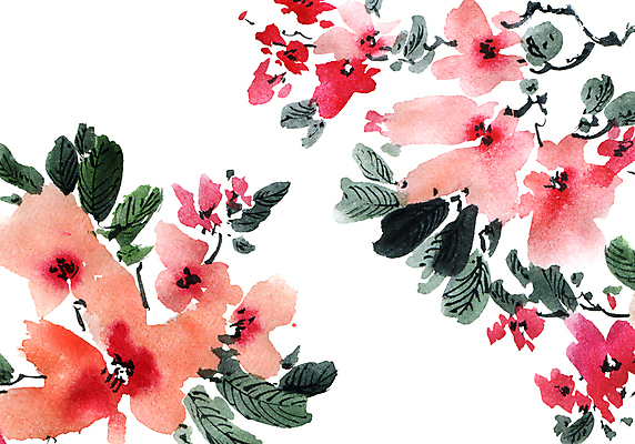 포토 JPG 해외이미지 꽃잎 꽃 줄기 분홍색 잎 일러스트 캘리그라피 붓터치 수채화 수묵화 미술 사람없음 동양화 번짐 해외일러스트 식물 컬러 문화예술 파일형식 효과 이미지허브