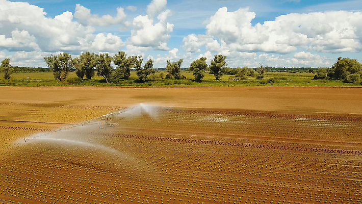 포토 JPG 해외이미지 식물 밭 농업 사람없음 초록색 물 농작물 농장 농경지 기계 샐러드 장비 성장 시골 상추 분무기 시스템 밭일 스프링쿨러 조감도 해외포토 자연요소 산업 음식 컬러 채소 파일형식 이미지허브