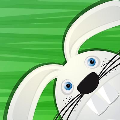 EPS 해외이미지 한마리 얼굴 동물캐릭터 일러스트 사람없음 토끼 해외일러스트 일러캐릭터 동물 캐릭터 1 포유류 신체부위 반려동물 파일형식 벡터 이미지허브