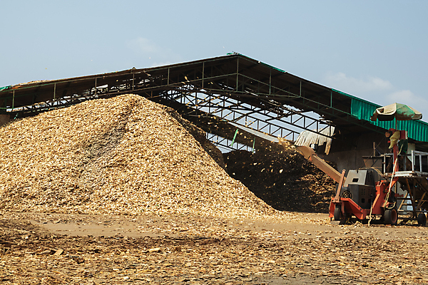 포토 JPG 해외이미지 공원 산업 도로 여행 백그라운드 건축양식 자연 하늘 사람없음 야외 건물 목재 물 파란색 기계 재활용 흰색 나뭇가지 도시 업무 불기 자르기 청소 서비스 조경 그라인더 다듬기 로딩 철강 해외포토 자연요소 나무 건축물 공공시설 건축 길 컬러 재료 교통시설 모션 작업 친환경 생태계 커피용품 파일형식 이미지허브