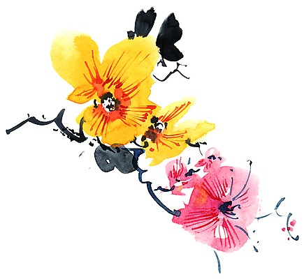 포토 JPG 해외이미지 꽃잎 꽃 줄기 분홍색 일러스트 캘리그라피 붓터치 수묵화 미술 사람없음 노란색 동양화 번짐 해외일러스트 식물 컬러 문화예술 파일형식 효과 이미지허브