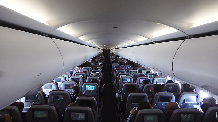 포토 JPG 해외이미지 식물 계절 꽃 꽃무늬 밭 자연 사람없음 야외 초록색 뷰티 노란색 맑음 벚꽃 흰색 허브 데이지 캐모마일 해외포토 컬러 무늬 농업 날씨 생태계 파일형식 이미지허브