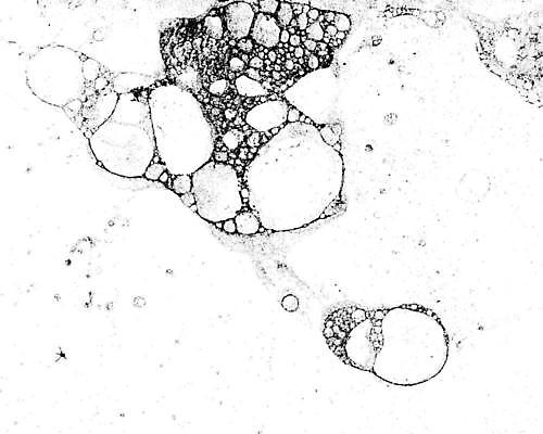 EPS 해외이미지 모양 템플릿 디자인 백그라운드 일러스트 벽지 추상 미술 그래픽 검은색 어둠 손상 고통 수확 점 얼룩 균열 떨어짐 낟알 스케치 묘사 고민 부식 질감 복고 무거움 고무 시들음 고립 구김 그런지 썩음 옛날 타격 디테일 효과 해외일러스트 감정 컬러 컨셉 무늬 농업 모션 문화예술 무게 파일형식 벡터 이미지허브