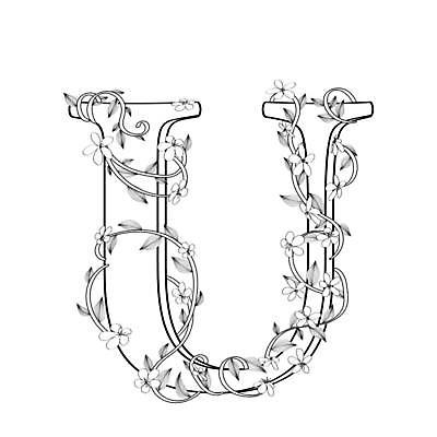 EPS 해외이미지 디자인 알파벳 선 꽃무늬 곡선 캘리그라피 대문자 흑백 타이포그라피 사람없음 U 문자 영어 꽃 무늬 촬영기법 파일형식 벡터 이미지허브