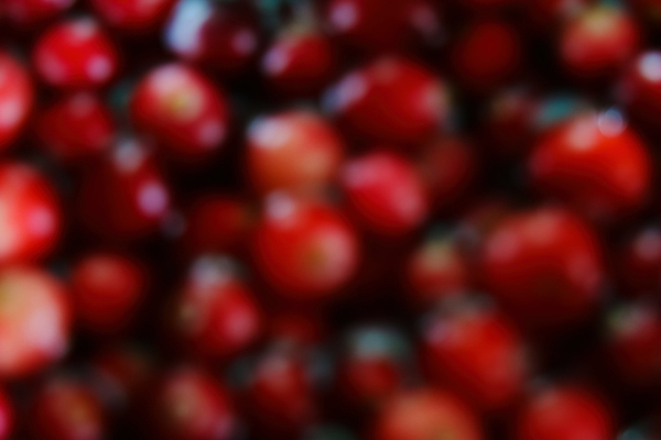 포토 JPG 해외이미지 열매 음식 백그라운드 겨울 과일 재료 자연 추상 건강 사람없음 빨간색 컬러풀 냉동 흰색 신선 그룹 달콤 유기농 내추럴 숙성 크랜베리 많음 해외포토 식물 웰빙 계절 컬러 컨셉 무늬 맛 생태계 파일형식 이미지허브