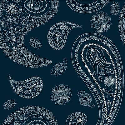 EPS 해외이미지 전통 디자인 꽃 백그라운드 잎 꽃무늬 패턴 일러스트 벽지 미술 동양인 여러명 그래픽 장식 파란색 유행 수확 흰색 직물 화려 우아함 인쇄 인도인 타일 질감 복고 공상 자수 페이즐리 스타일 튀르키예 해외일러스트 외국인 식물 아시아 컬러 다수 컨셉 무늬 농업 문화예술 사람 인종 파일형식 벡터 이미지허브